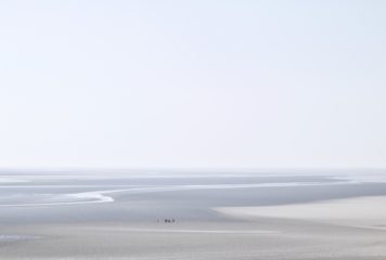 niklas-schweinzer-mXwrQ7AW7KU-unsplash